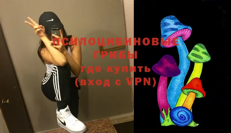 Где купить Губкинский blacksprut ссылки  Каннабис  Cocaine  МЕТАДОН  Гашиш  Меф мяу мяу  A-PVP 